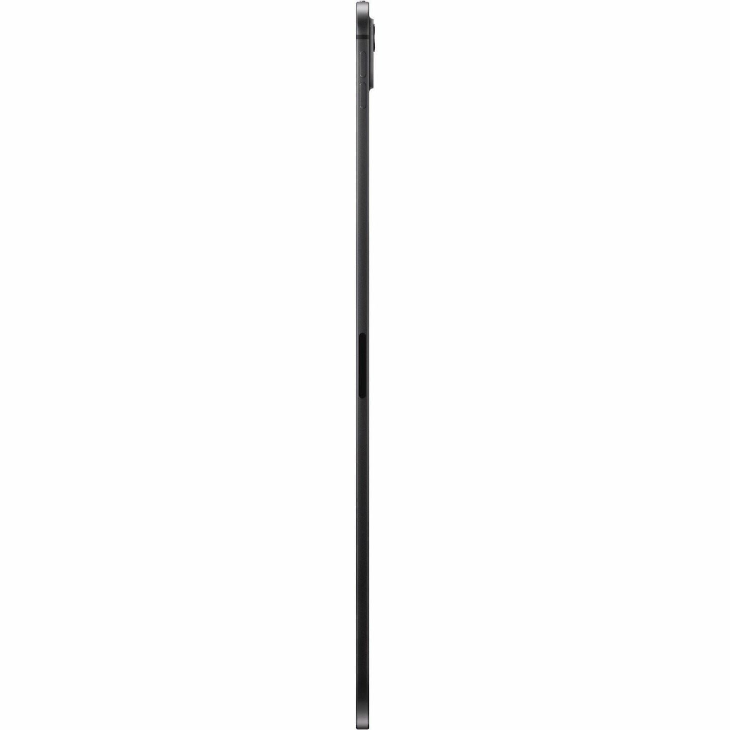 IPAD PRO 13 (M5) WF CL 2TB SBNT